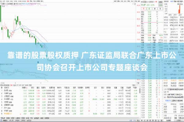 靠谱的股票股权质押 广东证监局联合广东上市公司协会召开上市公司专题座谈会