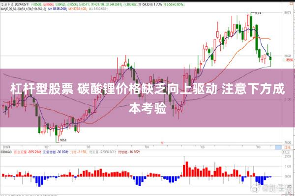 杠杆型股票 碳酸锂价格缺乏向上驱动 注意下方成本考验