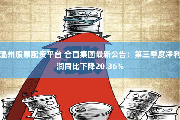 温州股票配资平台 合百集团最新公告：第三季度净利润同比下降20.36%