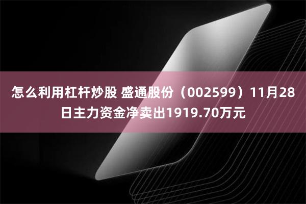 怎么利用杠杆炒股 盛通股份（002599）11月28日主力资金净卖出1919.70万元