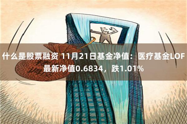 什么是股票融资 11月21日基金净值：医疗基金LOF最新净值0.6834，跌1.01%