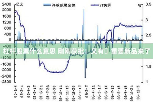 杠杆股票什么意思 刚刚获批！又有​重要新品来了